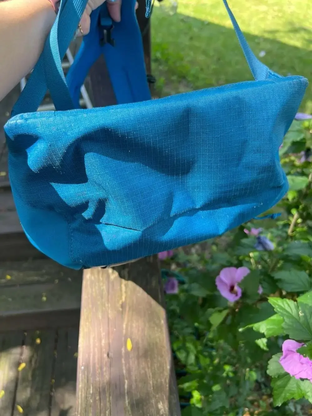 Patagonia Black Hole Pack 25L Blue Backpack